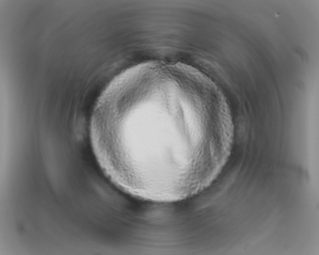 X0000113880077200910151322