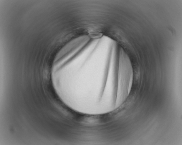 X0000113880078200910151322