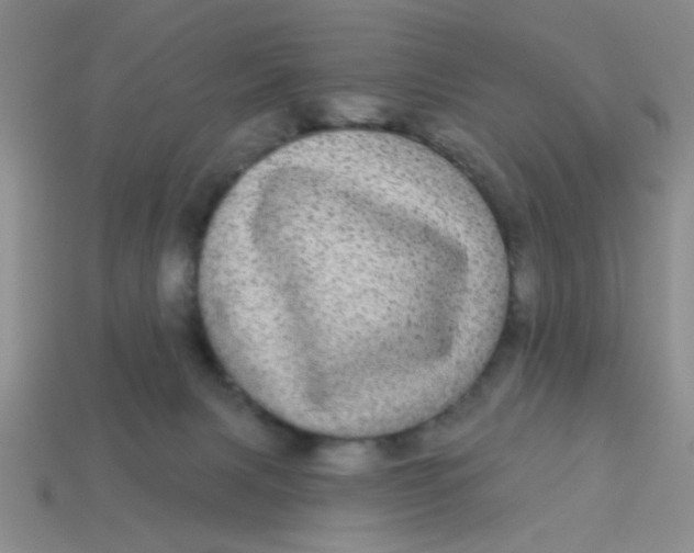 X0000113880079200910151322