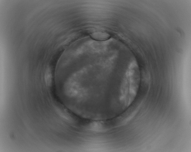 X0000113880080200910151322