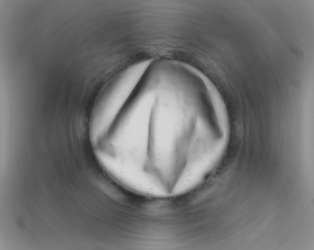 X0000113880081200910151322