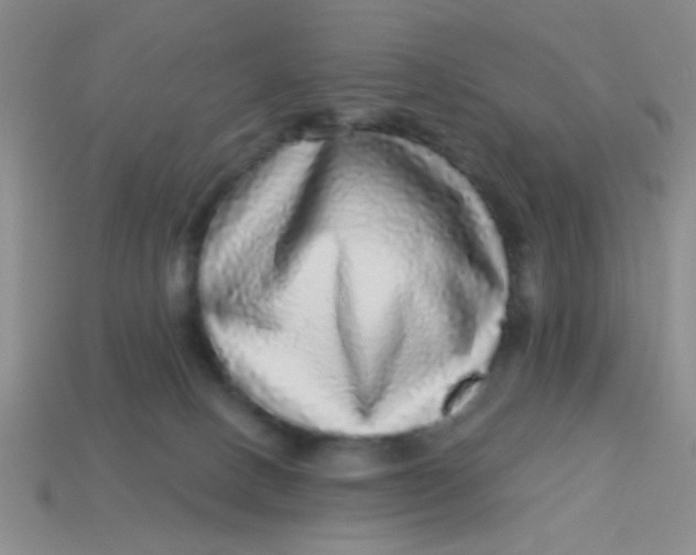 X0000113880082200910151322