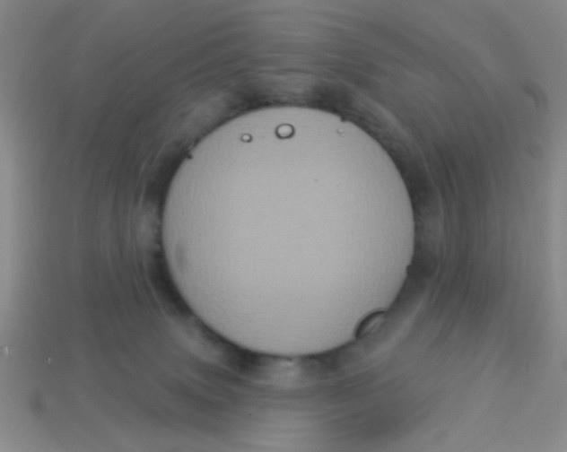 X0000113880083200910151322