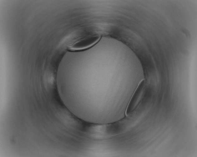 X0000113880084200910151322