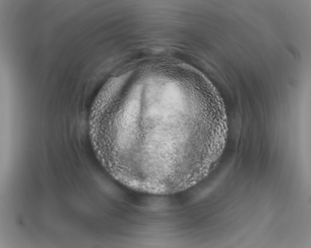 X0000113880085200910151322