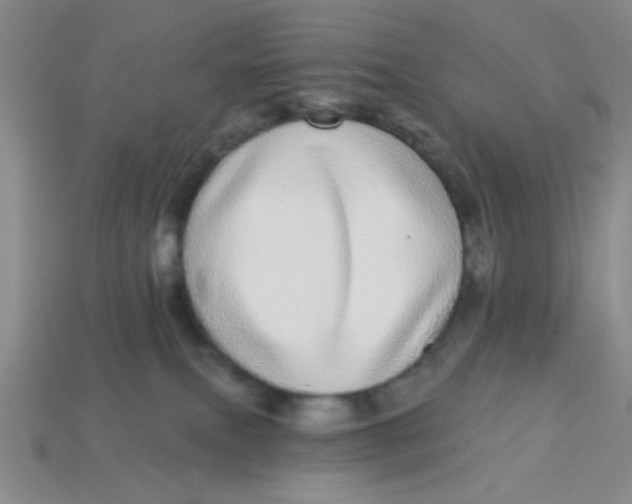 X0000113880087200910151322