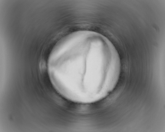 X0000113880089200910151322