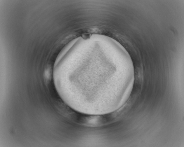 X0000113880090200910151322