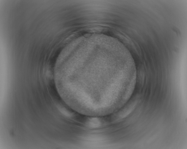 X0000113880091200910151322