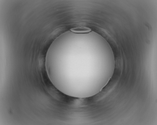 X0000113880092200910151322