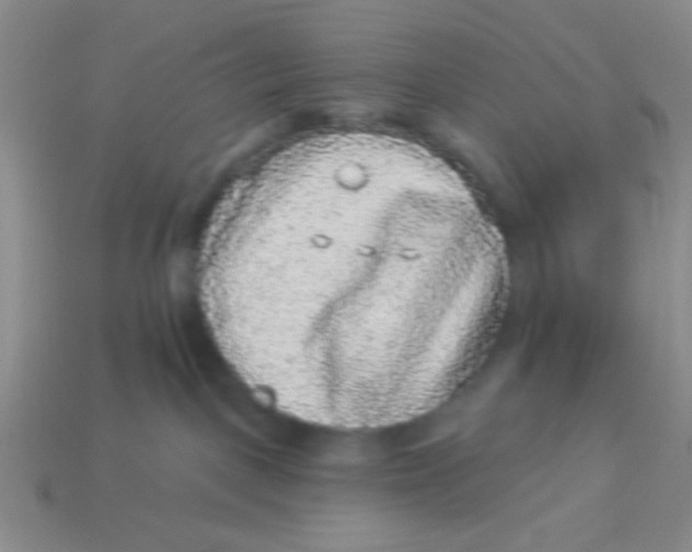 X0000113880093200910151322