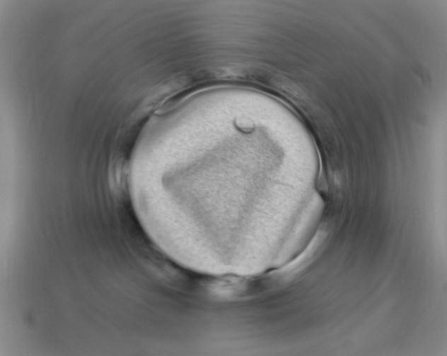 X0000113880094200910151322