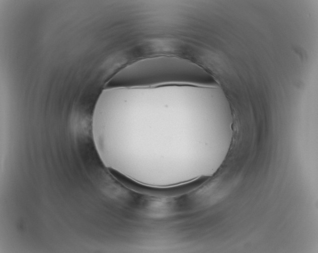 X0000113880096200910151322