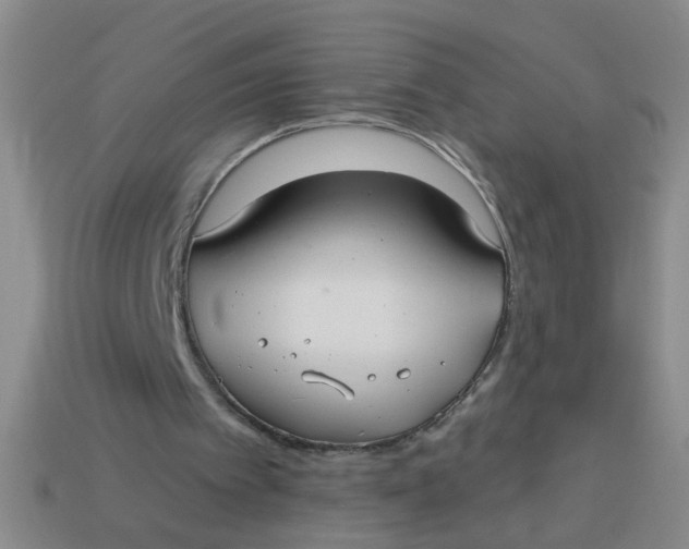 X0000113880097200910151321