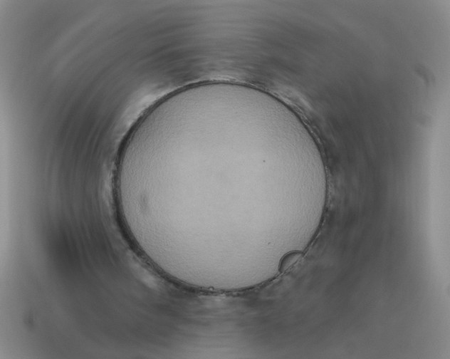 X0000113880098200910151321