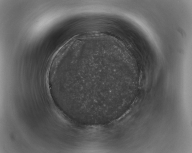 X0000113880099200910151321