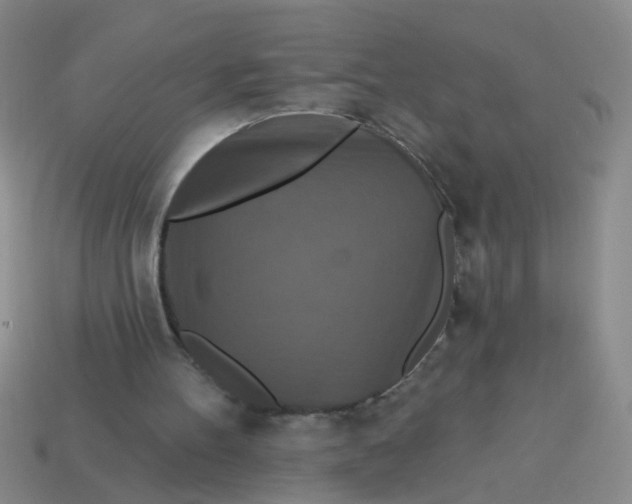 X0000113880100200910151321