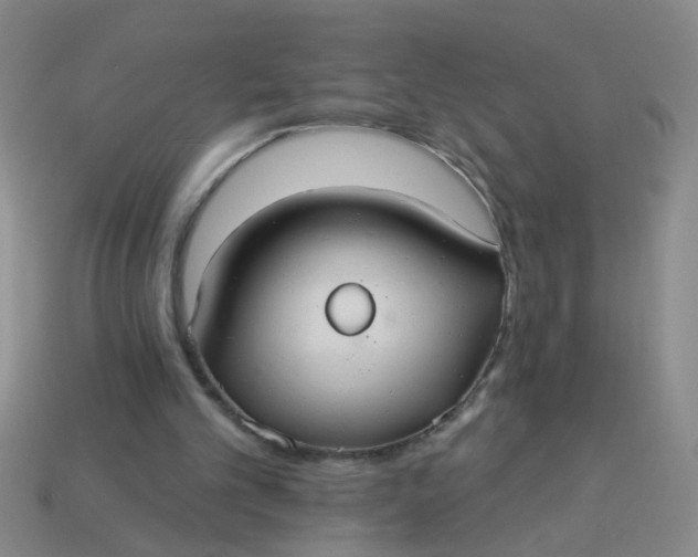 X0000113880101200910151321