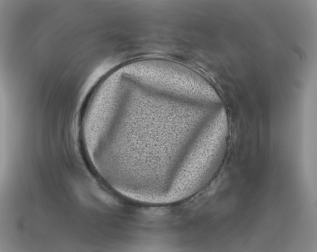 X0000113880102200910151321