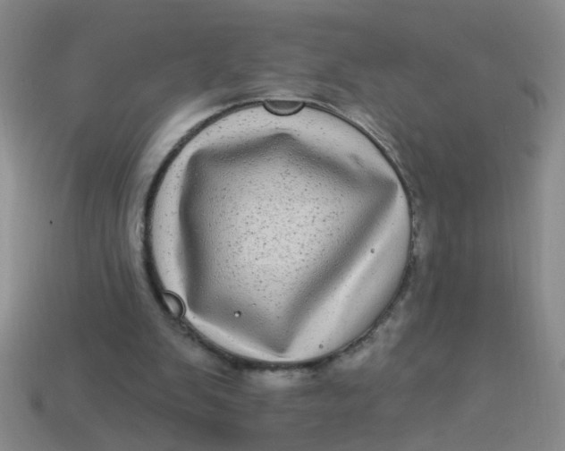 X0000113880103200910151321