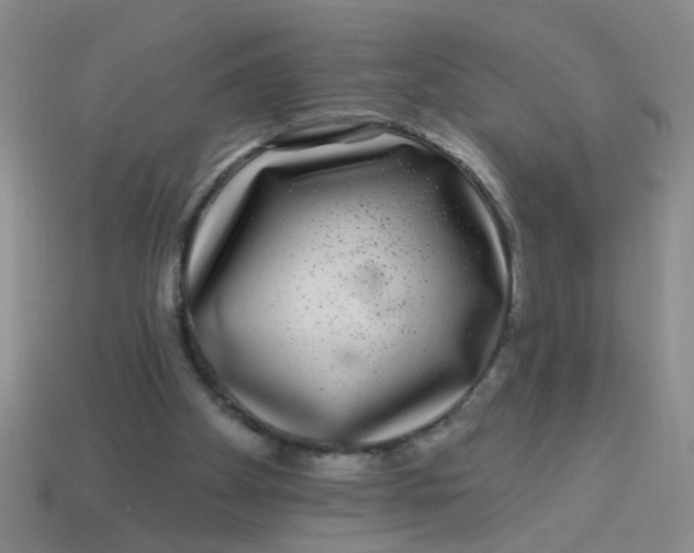 X0000113880105200910151321