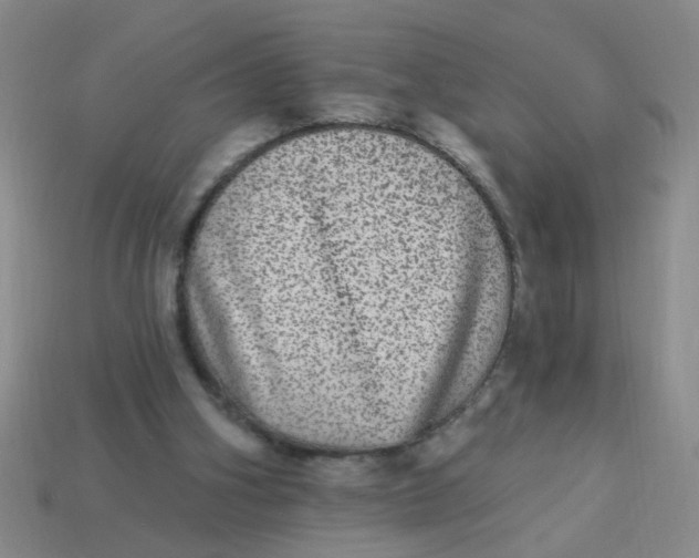 X0000113880106200910151321