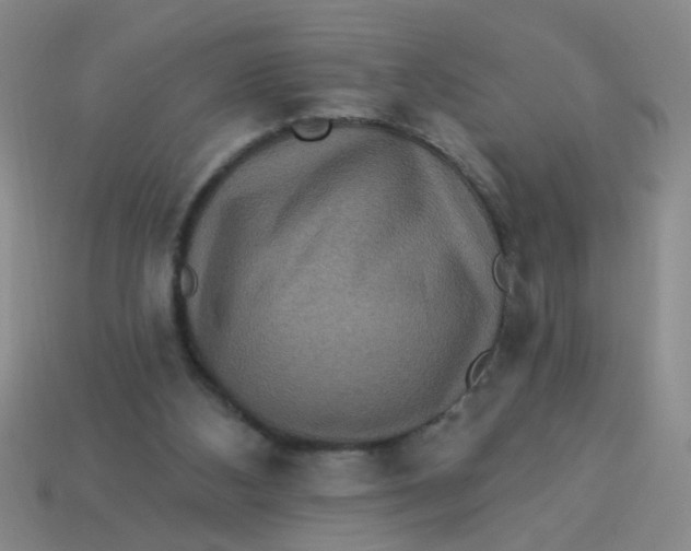 X0000113880108200910151321