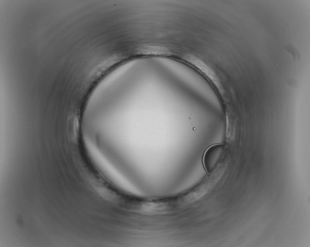 X0000113880109200910151321