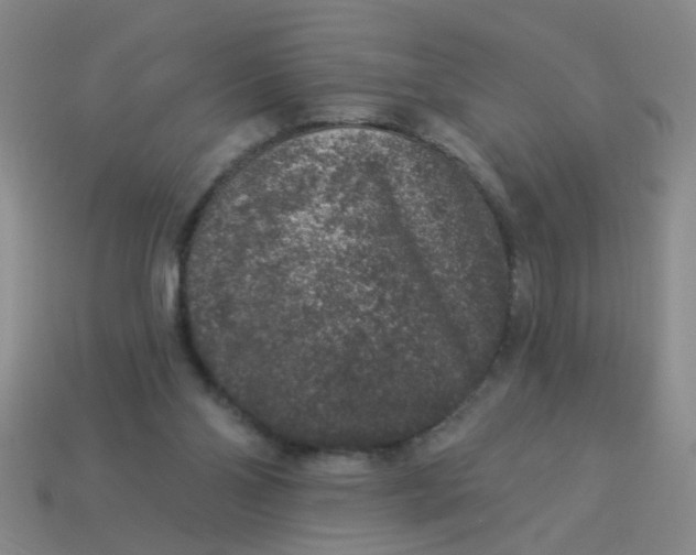 X0000113880110200910151321