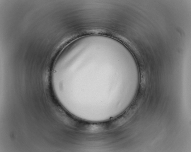 X0000113880111200910151321