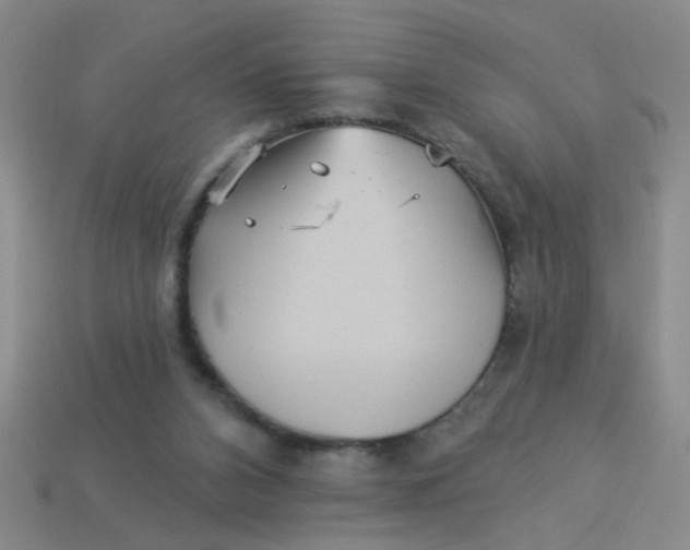 X0000113880112200910151321