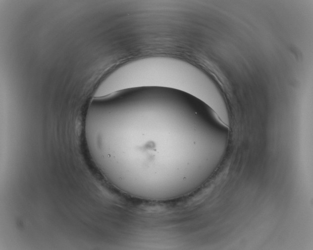 X0000113880113200910151321