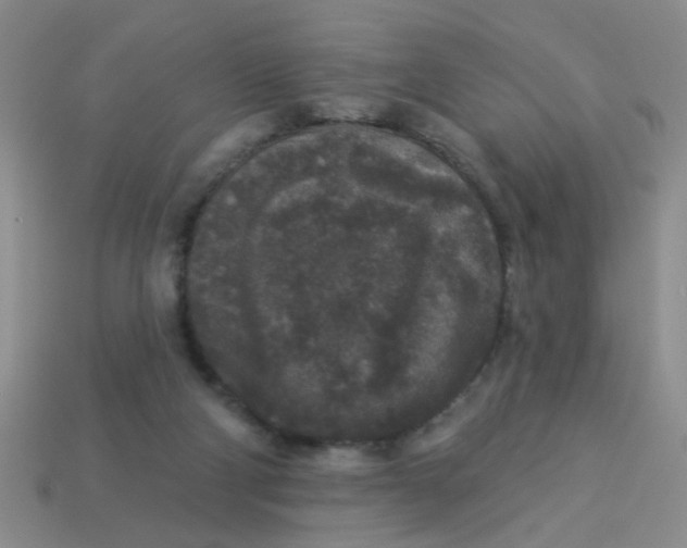 X0000113880114200910151321