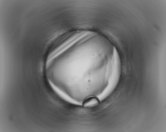 X0000113880115200910151321