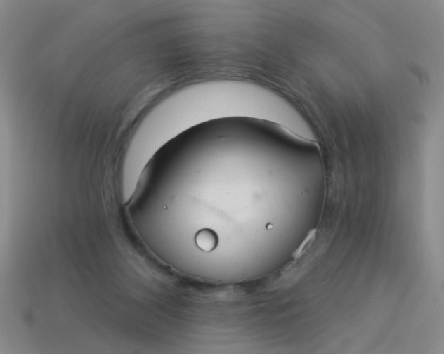 X0000113880116200910151321