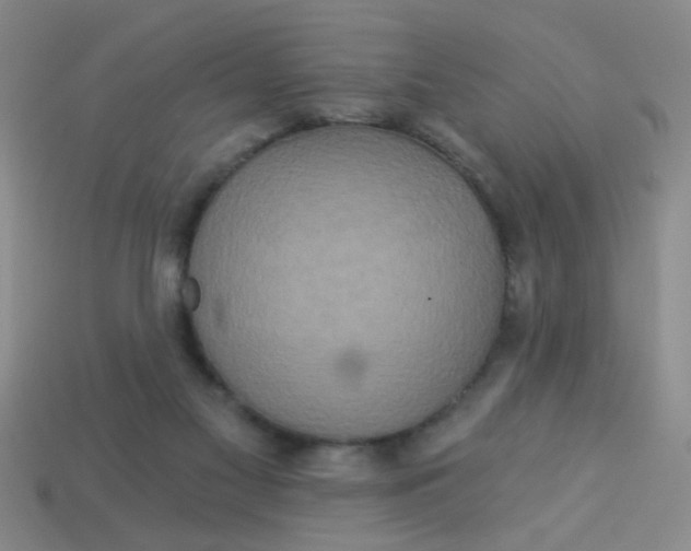 X0000113880117200910151321