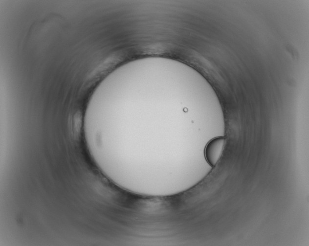 X0000113880118200910151321