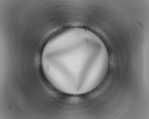 X0000113880119200910151321