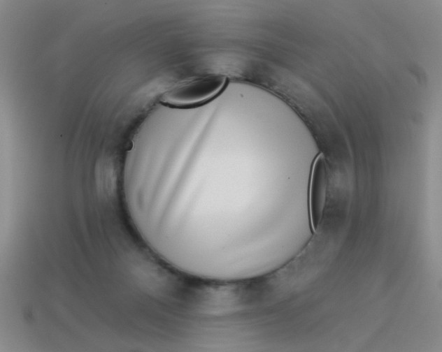 X0000113880120200910151321