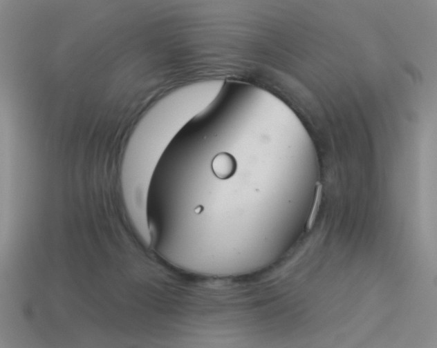 X0000113880121200910151321