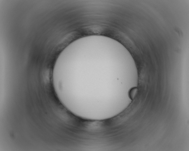 X0000113880122200910151321