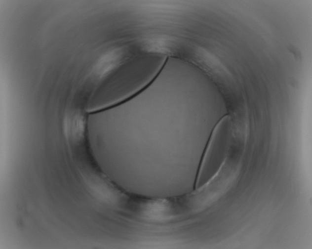 X0000113880124200910151321