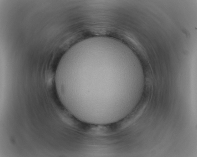 X0000113880125200910151321