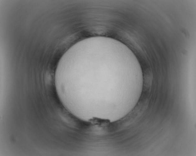 X0000113880126200910151321