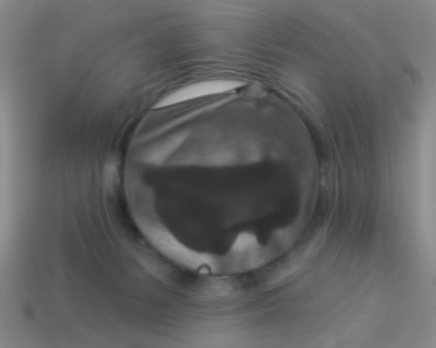 X0000113880127200910151321