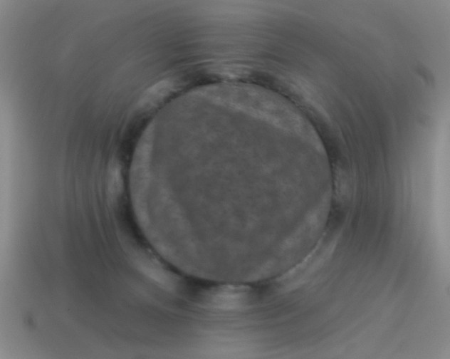 X0000113880128200910151321