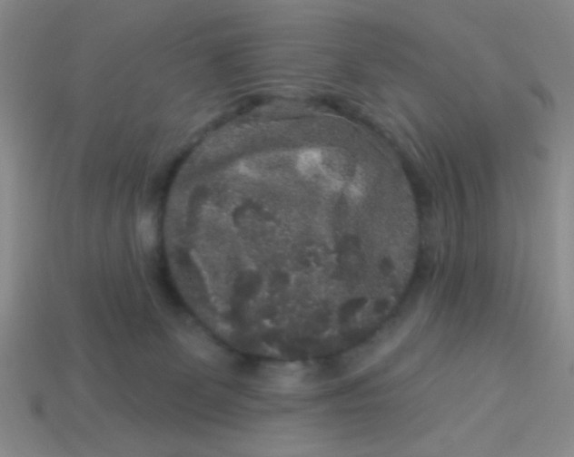 X0000113880131200910151321