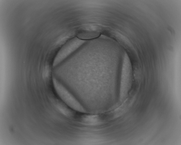 X0000113880132200910151321