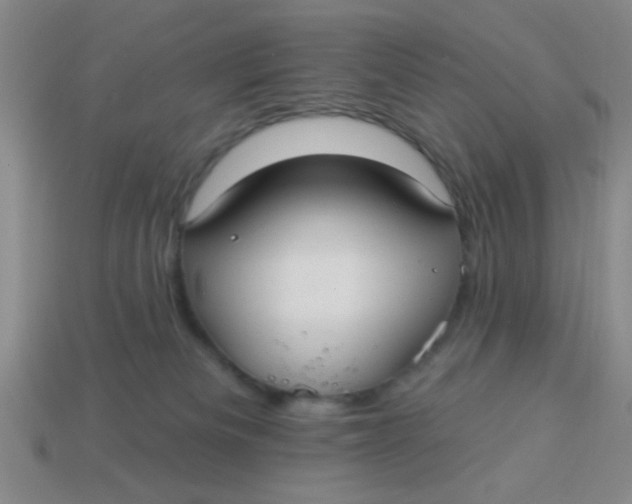 X0000113880133200910151321