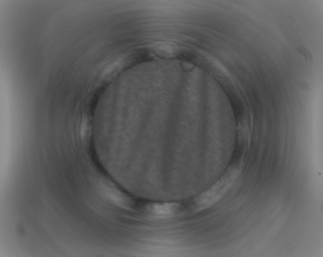 X0000113880134200910151321